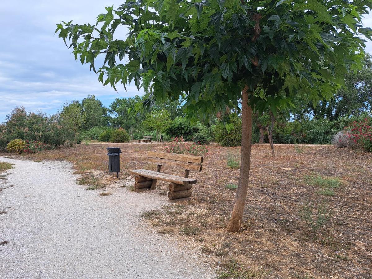 Studio Proche De Perpignan Peyrestortes 외부 사진